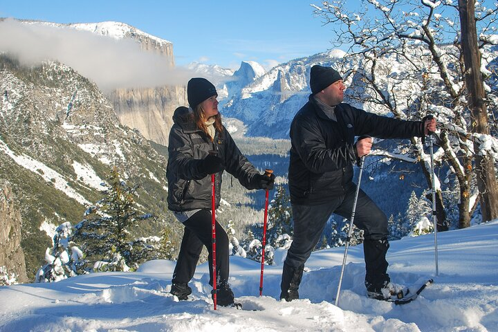 Private Guided Snowshoe Hike in Yosemite - Photo 1 of 7
